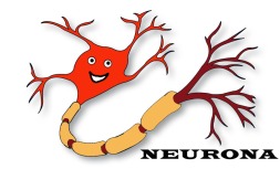 neurona copia